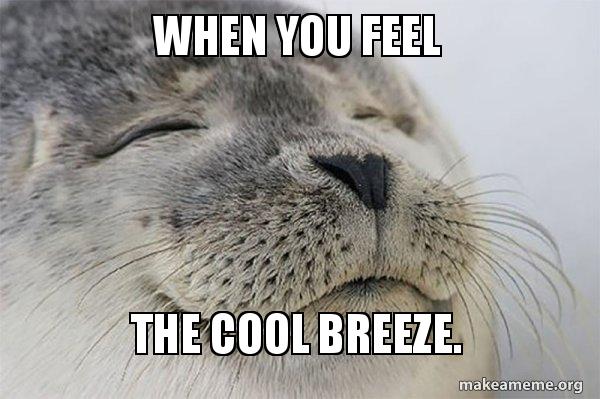 breeze in your home meme 